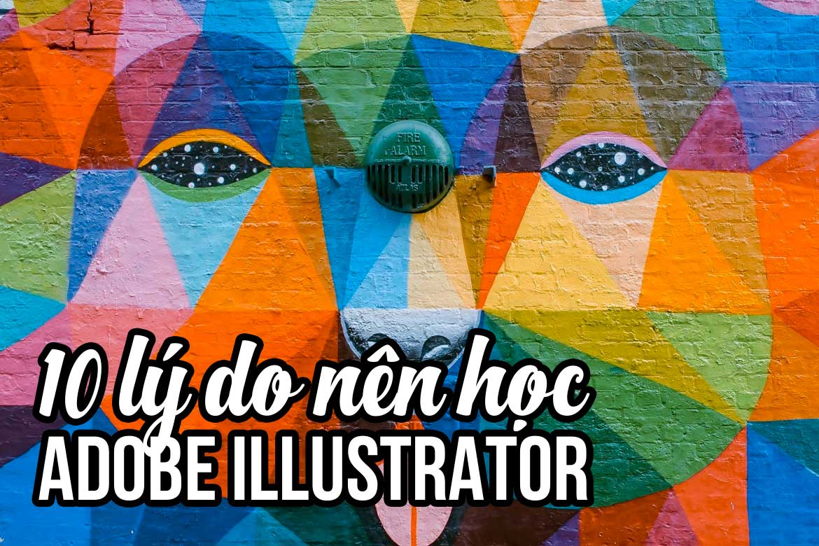 10 lý do bạn nên học Adobe Illustrator | Thùy Uyên Design