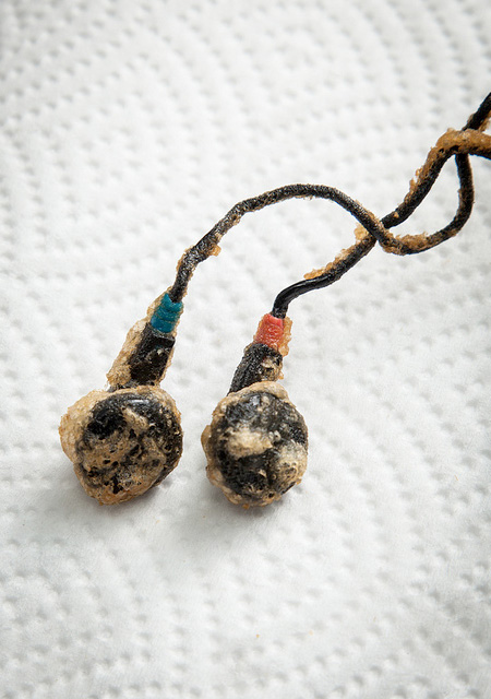 EARPHONE