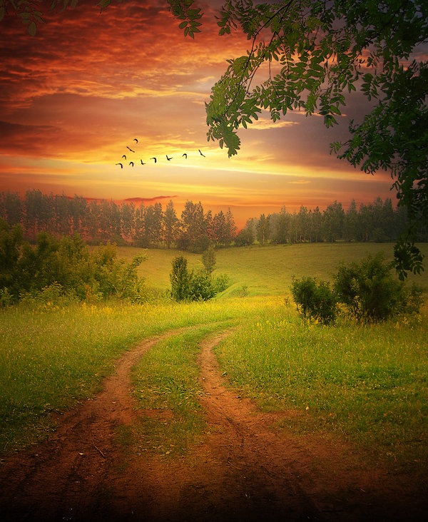 36Photomanipulationphotoshop_thumb1