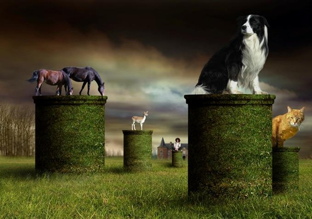 8Surrealphotographyimagemanipulation1