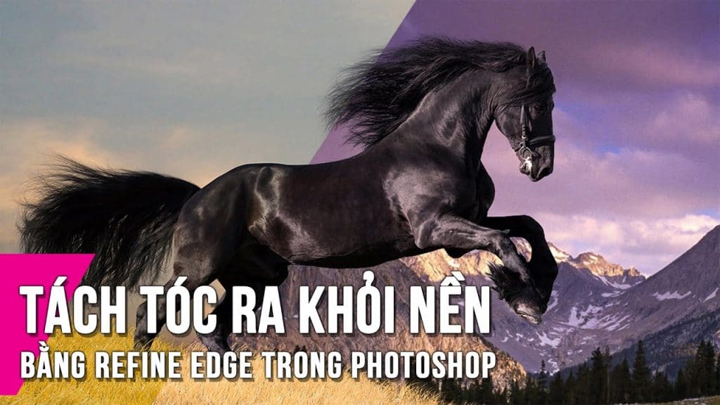 Tách tóc trong Photoshop bằng Refine Edge để tạo nên những bức ảnh chân dung hoàn hảo. Bạn sẽ không còn phải lo lắng về những vùng tóc nhỏ và khó tách nữa. Hãy cùng khám phá những hình ảnh liên quan để học và tạo ra những bức ảnh hoàn hảo nhất.