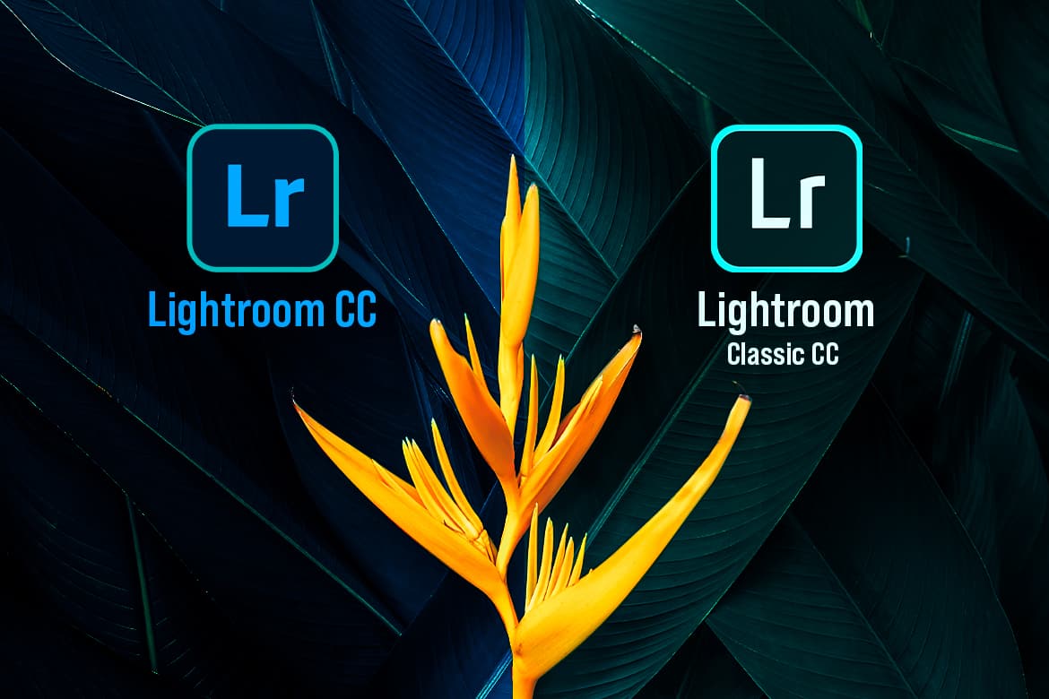 Lightroomccvslightroomclassiccc 1170x780