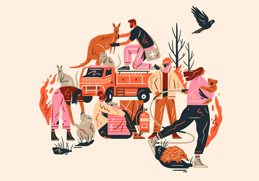 amazing illustration in 2021 with warm color combinations